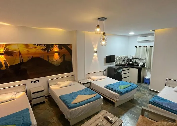 Dalida House 2 *