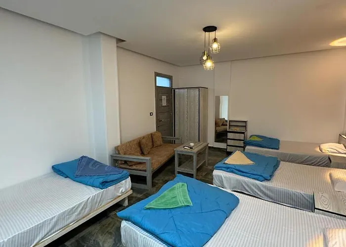 Dalida House 2 *