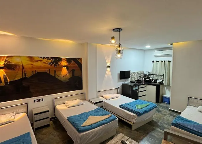 Dalida House 2
